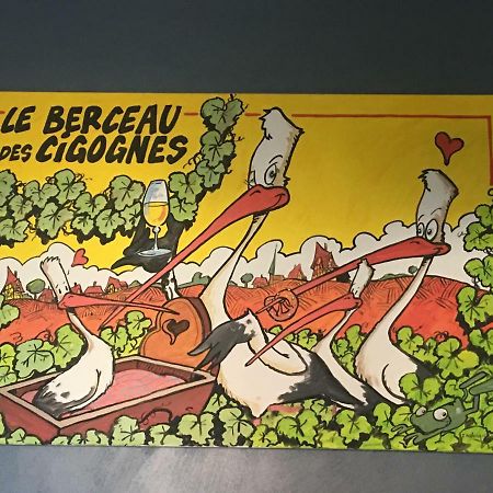 Au Berceau Des Cigognes Apartman Sélestat Kültér fotó