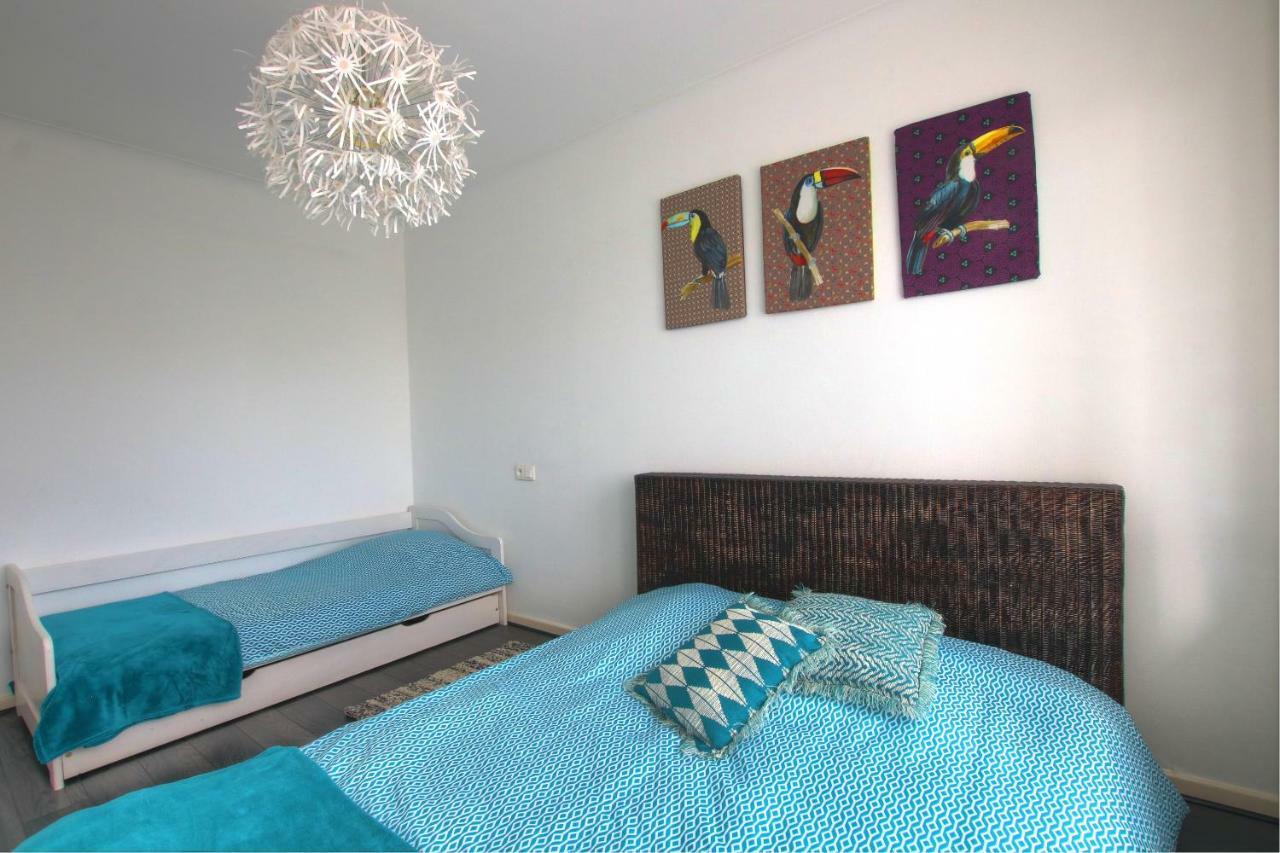 Au Berceau Des Cigognes Apartman Sélestat Kültér fotó